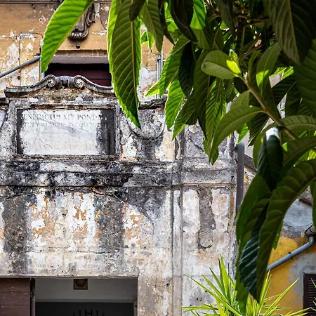 Bed & Breakfast Domus Piramide Rome